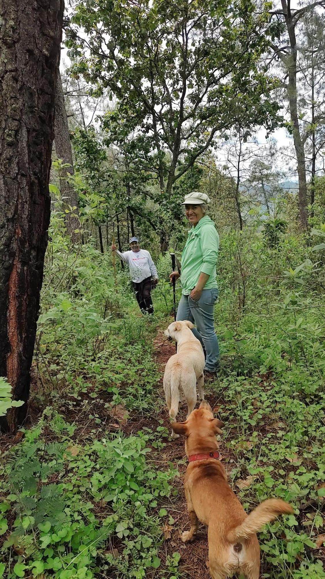 El Encinal De Las Flores Valle de Bravo Εξωτερικό φωτογραφία